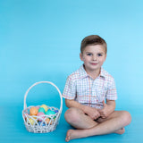 Owen Button Up  | Pastel Plaid